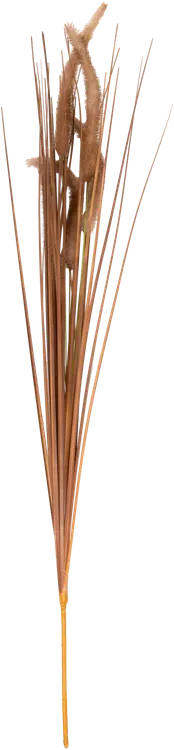 Koristeoksa Heinät, erilaisia