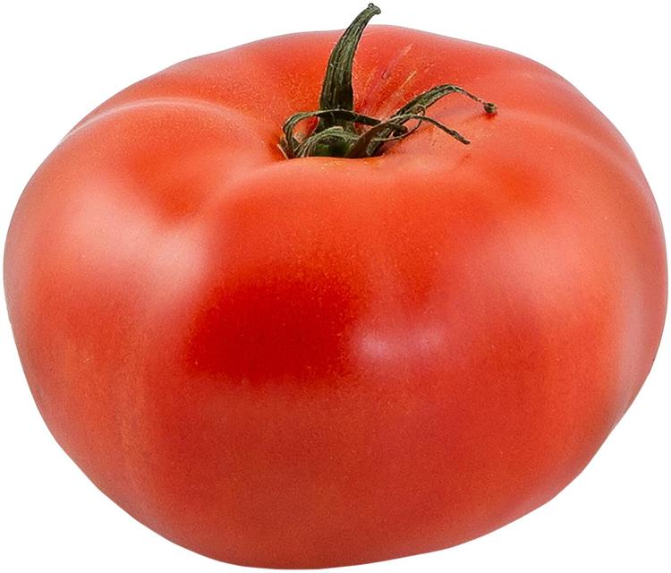 Pihvitomaatti