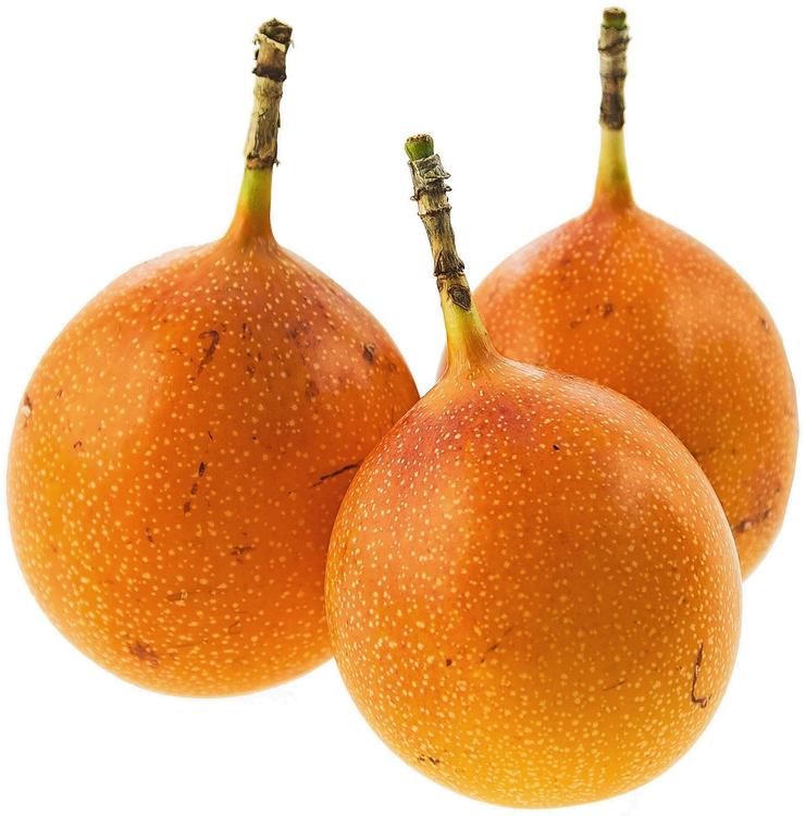 Granadilla