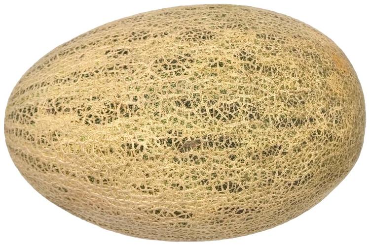 Kesk-Aasia melon
