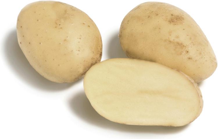 Pesty jauhoinen peruna