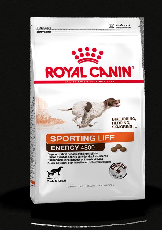 Royal canin sporting hot sale life energy 4800