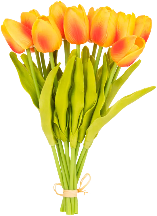 Tulppaaninippu 12 kpl 25,4 cm oranssi
