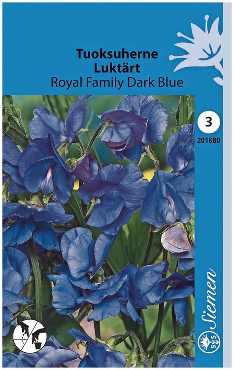 Tuoksuherne Royal Family Dark Blue