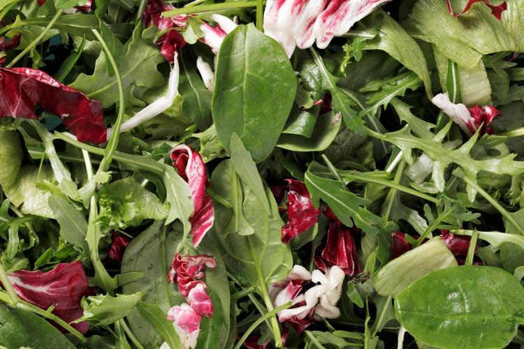 Fresh SK Gourmet mix 0,5 kg pussi