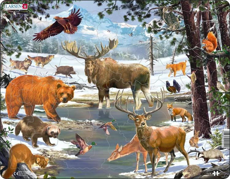 Puzzle Põhja Euroopa mets