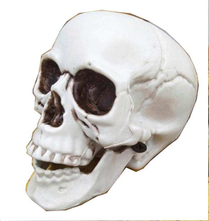 Pääkallo 13cm