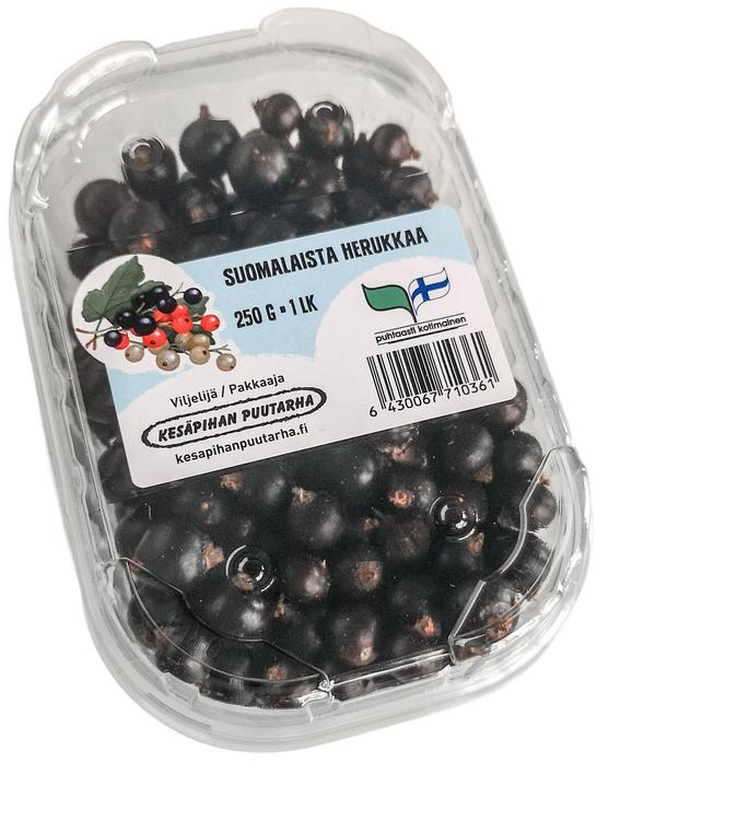 Kesäpihan Puutarha Mustaherukka 250 g kotimainen pakaste