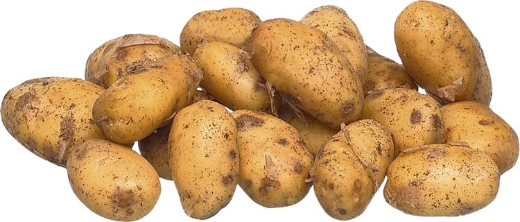Varhaisperuna multa