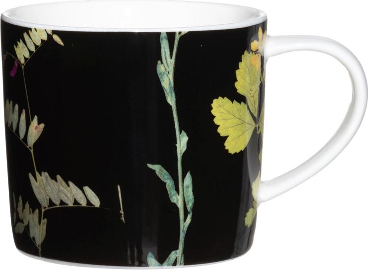 Ivana Helsinki home Muki Herbario musta 30 cl