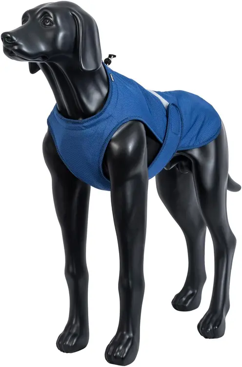 Icepeak Pet koiran viilennysliivi Cooling XL sininen