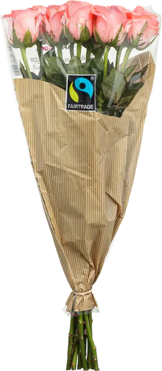 Afriflora Reilun Kaupan ruusu 10kpl, värilajitelma, 40cm