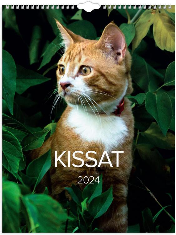 Burde seinäkalenteri 2024 Kissat