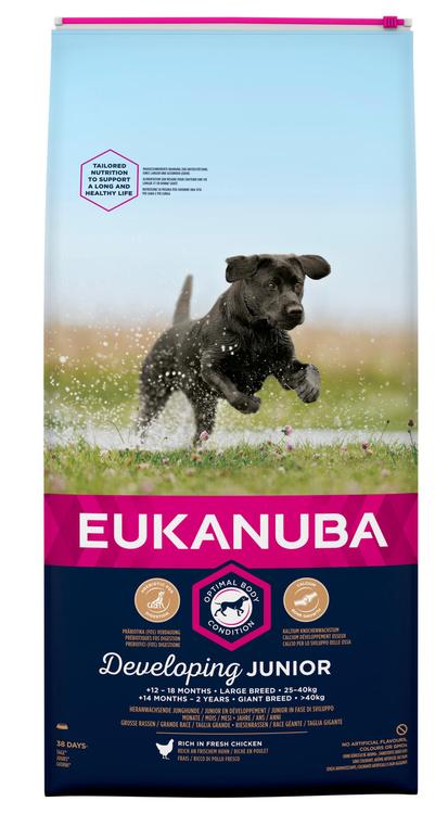 Eukanuba junior large breed rich in fresh chicken