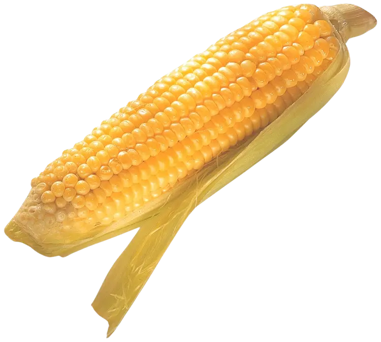 Maissi tuore 400g