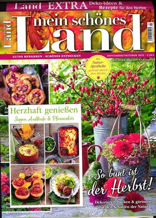 AJAKIRI MEIN SCHÖNES LAND A4