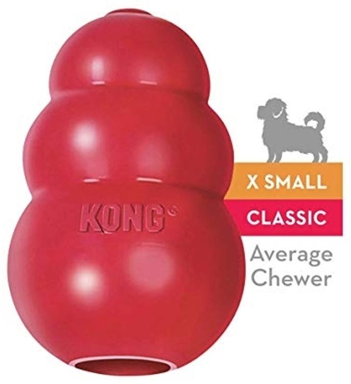 KONG Extra Small punainen