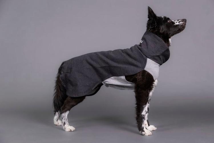PAIKKA Recovery Winter Shirt palauttava neule grey 50
