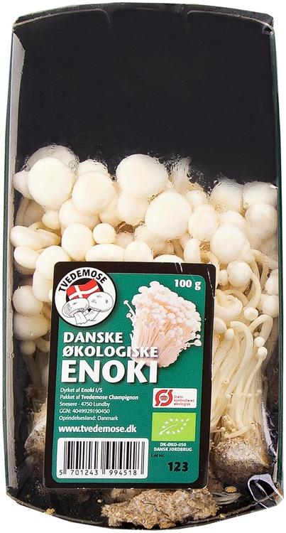 Enokisieni