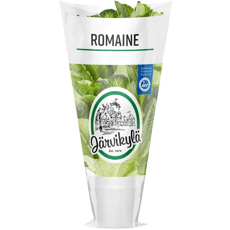 Romaine salaatti