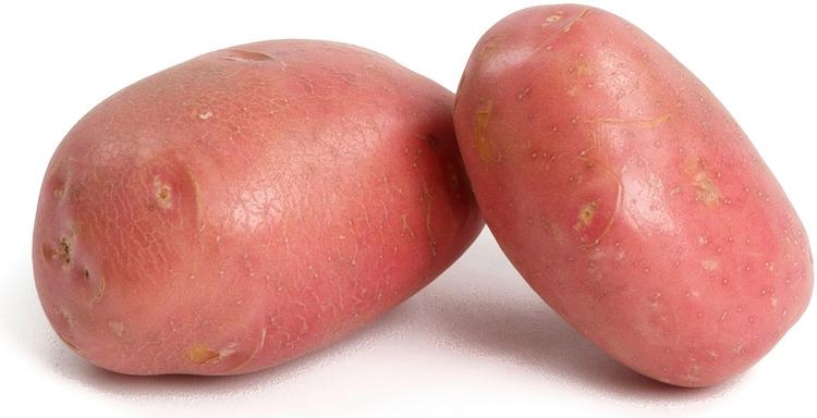 Pietilän peruna Bellarosa peruna