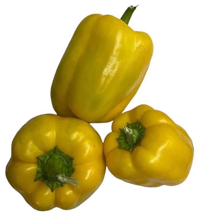 Paprika kollane I klass