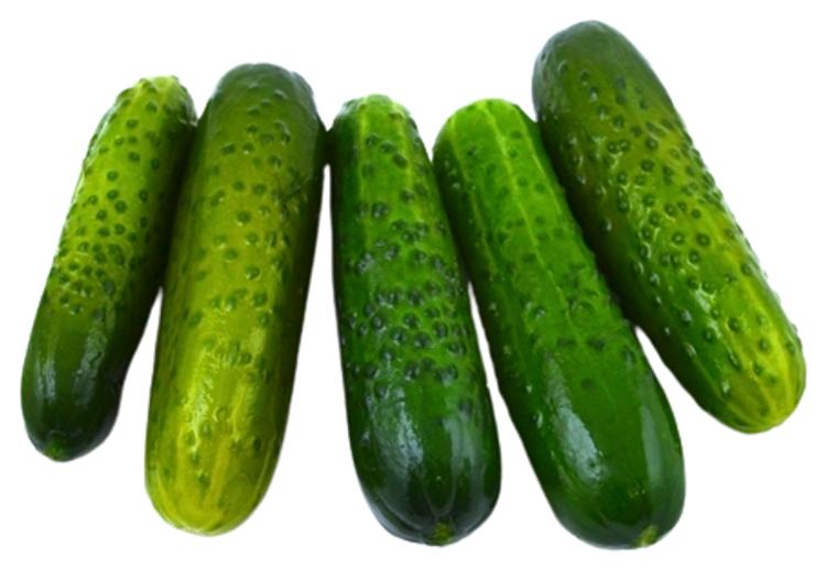 Värske soolakurk lahtine