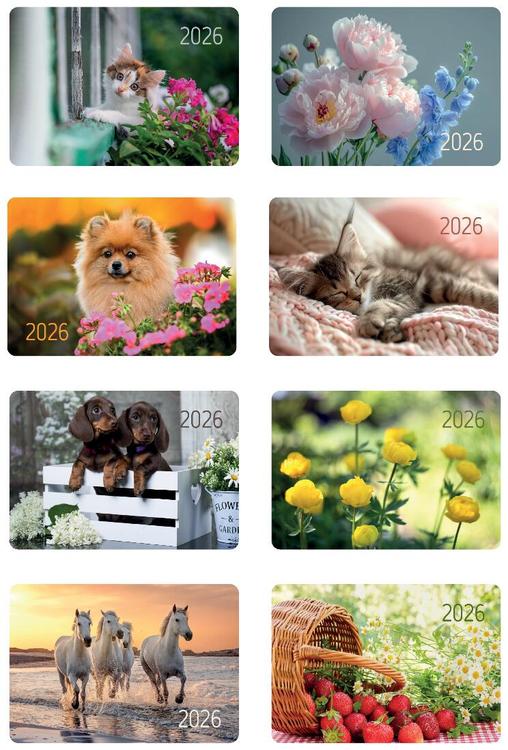 Taskukalender 65x95mm