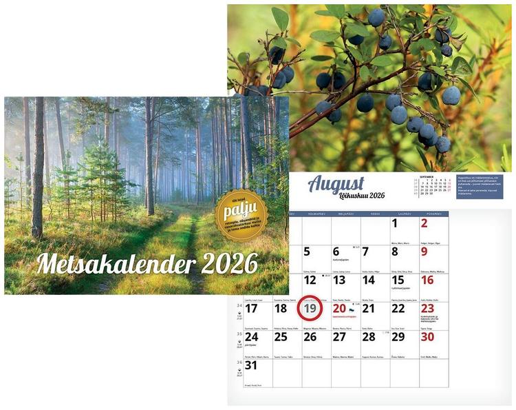 Seinakalender metsakalender,  297 x 42