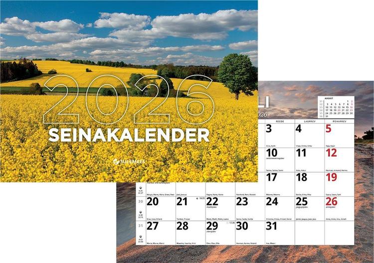 Lihtne seinakalender, 210 x 297mm
