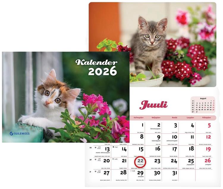 Seinakalender kassi kalender, 240 x 16