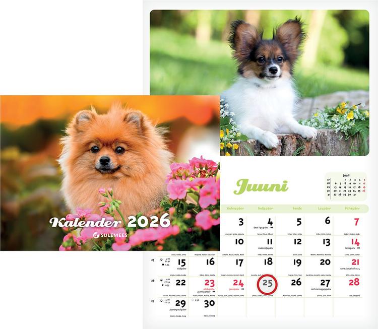 Seinakalender kutsu kalender