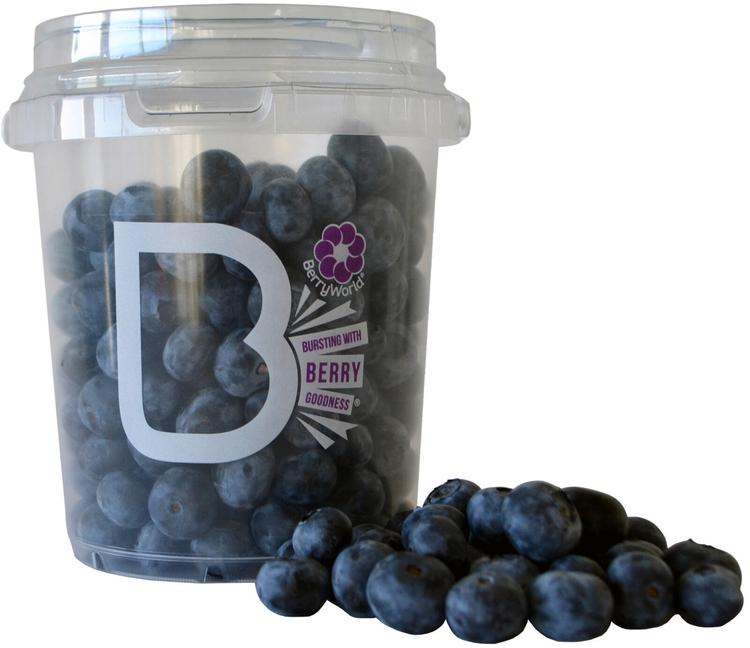 Kultuurmustikad karbis 500g