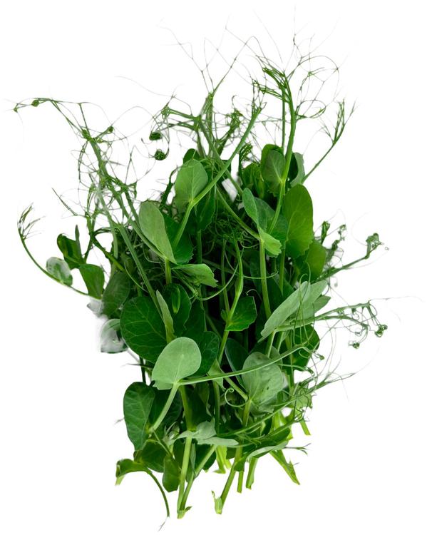 Mahe hernevõrsed 50g