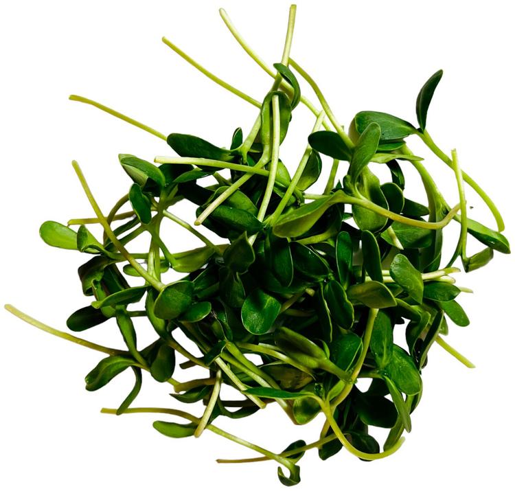 Mahe Päevalille võrsed 50g