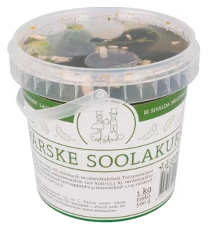 Värske soolakurk ämbris 500g
