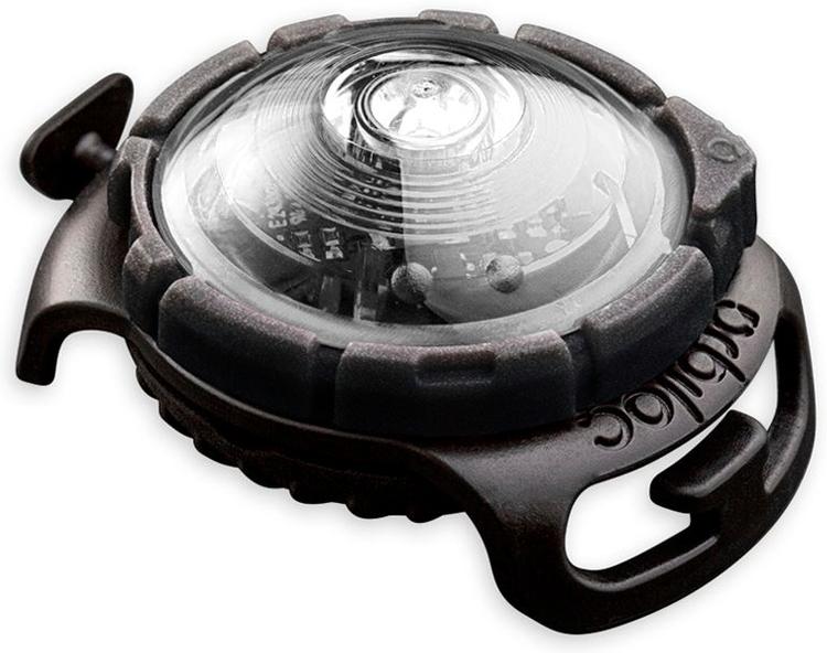 LED turvatuli koerale