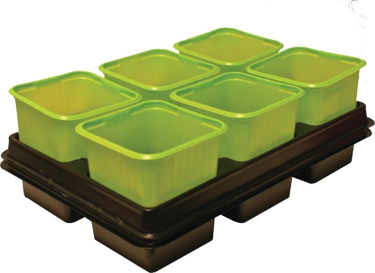 Istutuspott 8x8 cm 12 tk plast roheline +2 alust