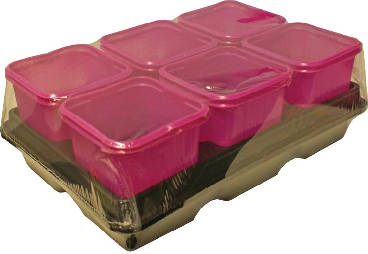 Istutuspott 8x8 cm 12 tk, roosa plast + 2 alust