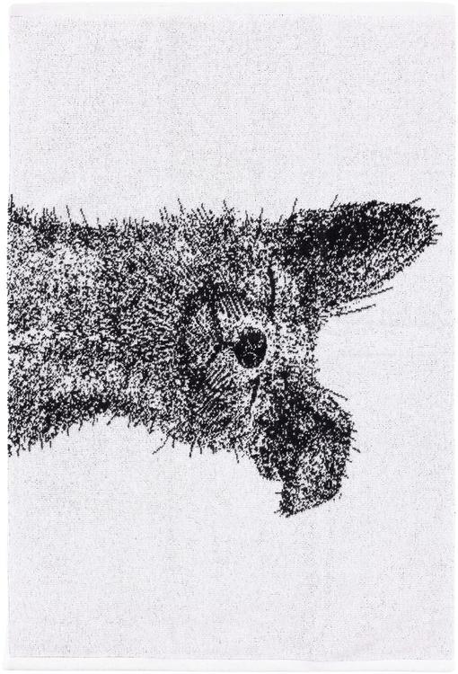Käterätt 50x70 Rebane