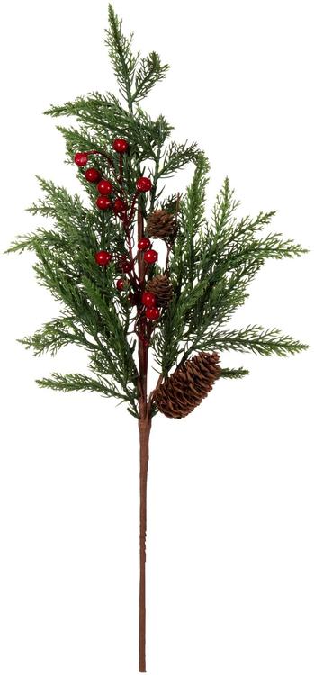 Marjaoks okaspuu 65 cm