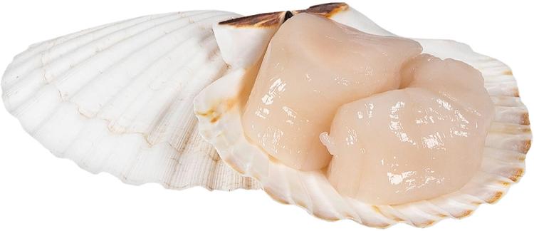 Delikatess kammkarbiliha, 180 g