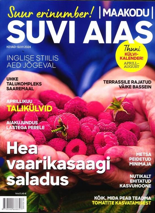 Suvi aias