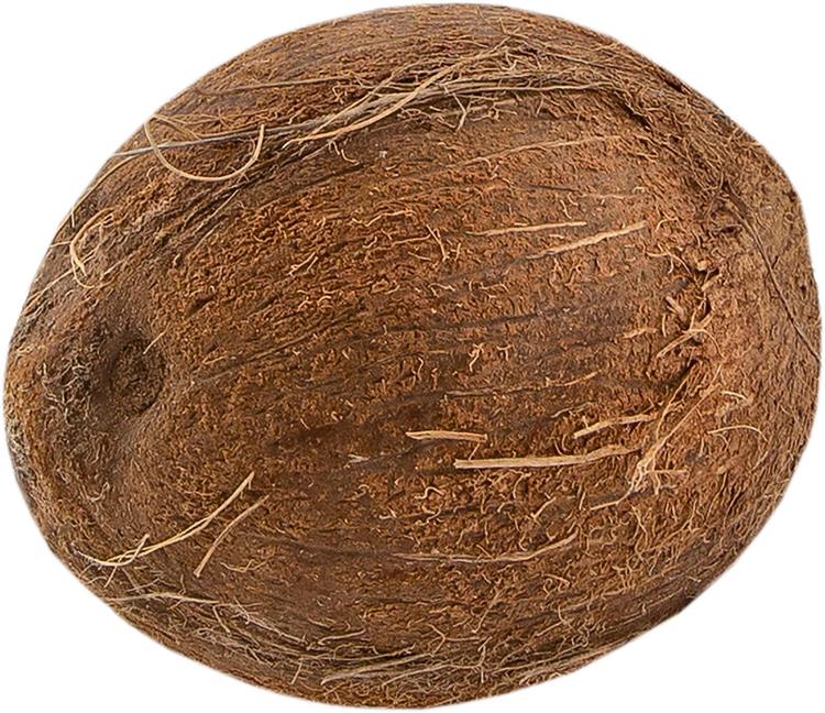 Kookospähkinä