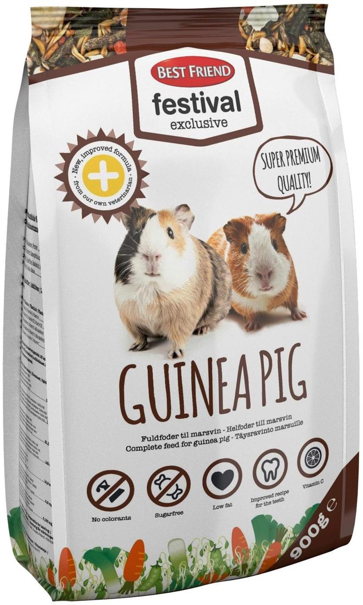 Best Friend Festival Exclusive 900g Guinea pig