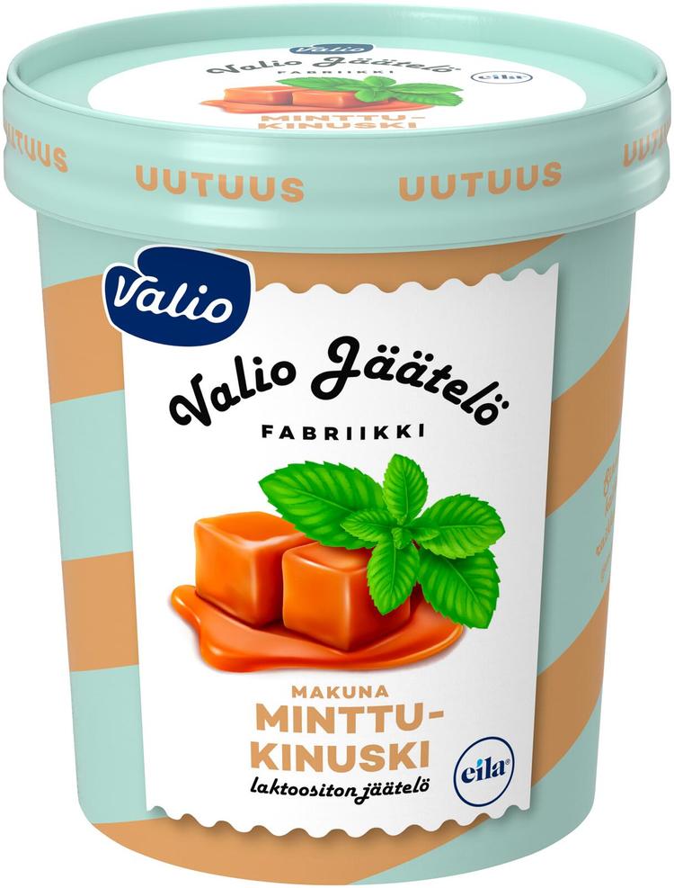 Valio jäätelö 480 ml minttu-kinuski laktoositon