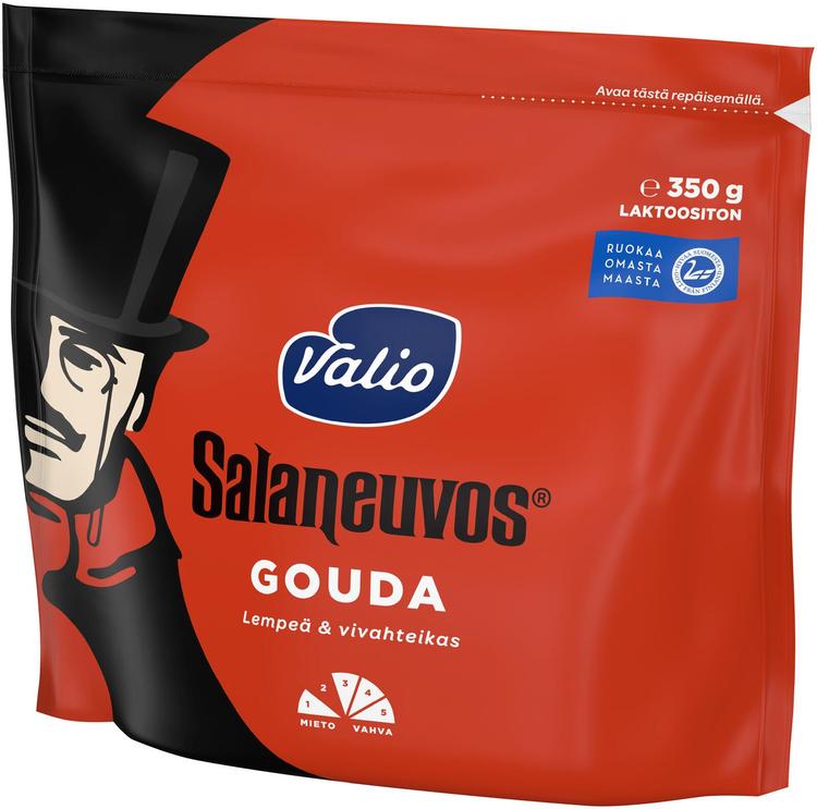 Valio Salaneuvos® e350 g