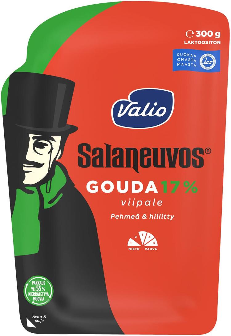 Valio Salaneuvos® 17 % e300 g viipale