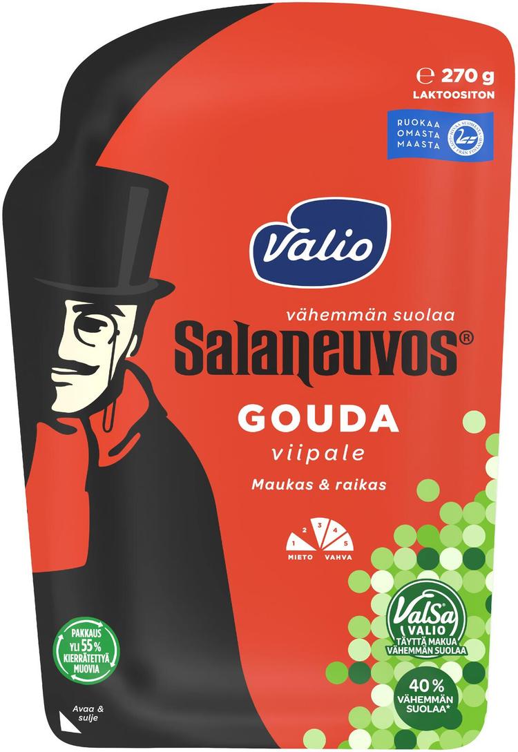 Valio Salaneuvos® e270 g viipale ValSa®