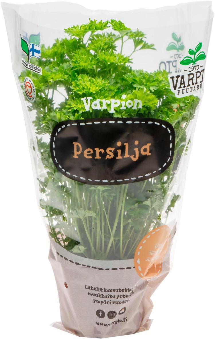 Varpio Persilja